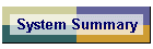 System Summary
